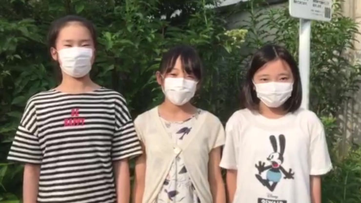 Japan PSA